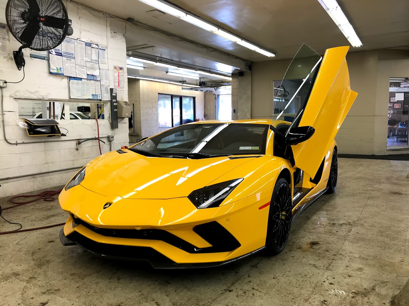 Lamborghini